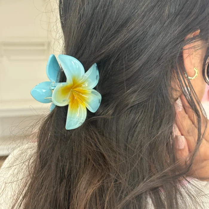 Hair Clip
